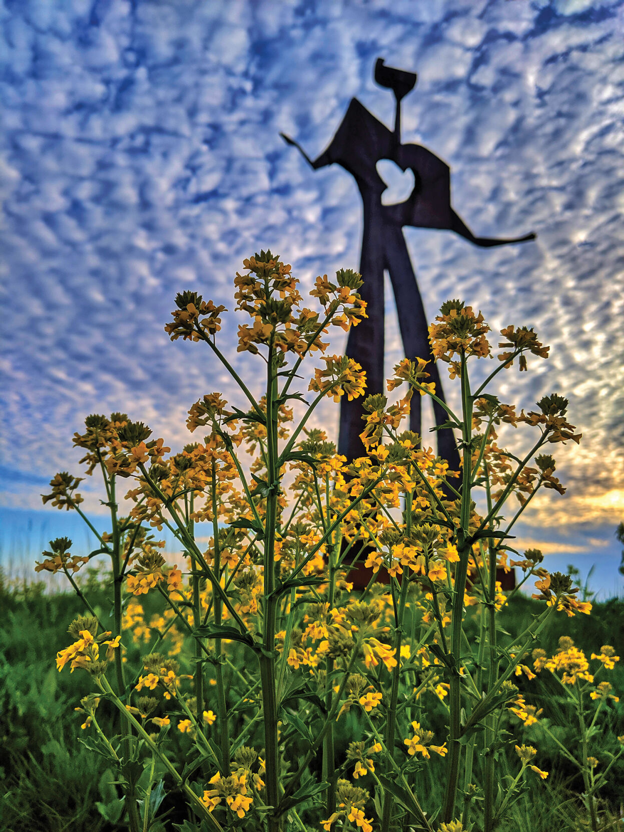 The Outer Harbor, 4/24/21